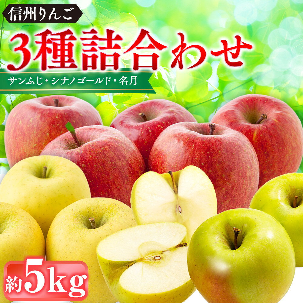 【ふるさと納税】信州りんご・3種詰合わせ（サンふじ・シナノゴールド・名月）約5kg（12個～16個） | りんご フルーツ 果物 旬 サンふじ 人気 おすすめ ギフト プレゼント 長野県 長野市 信州 信濃 | サンふじ シナノゴールド 名月 リンゴ 食べ比べ 詰め合わせ