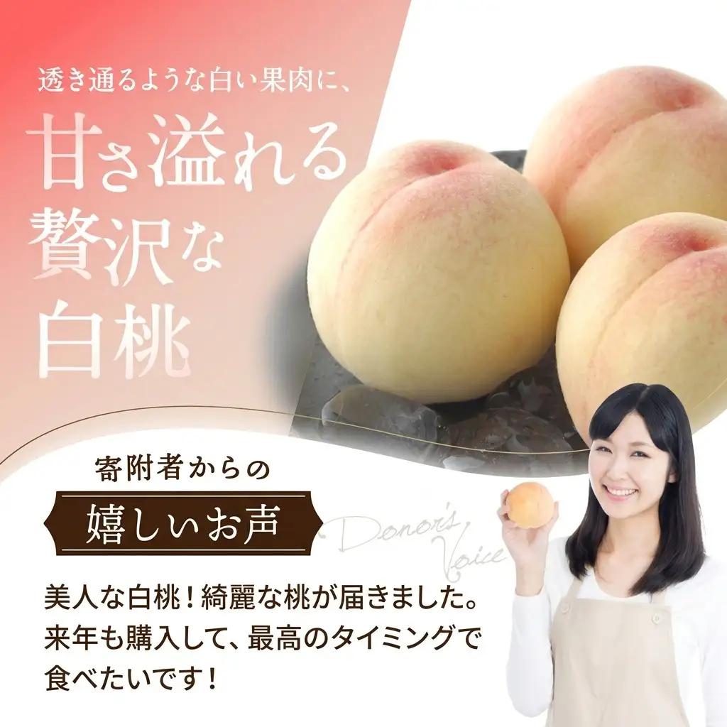 桃 2026年 先行予約 白桃 5玉 合計約1.3kg  岡山県産 桃