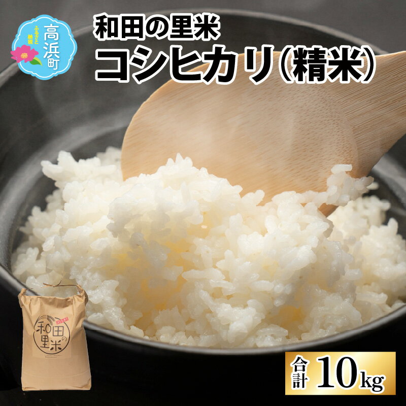 【ふるさと納税】【令和7年産】先行予約 和田の里米 コシヒカリ 精米 10kg |ふるさと納税 米 福井県 高浜町 お米 発祥の地 こめ おこめ 白米 精米 ごはん ご飯 白飯 あまみ ふるさと 人気 おすすめ 送料無料 産地直送 農家直送 国産米【2025年10月より順次発送】[A-011001]