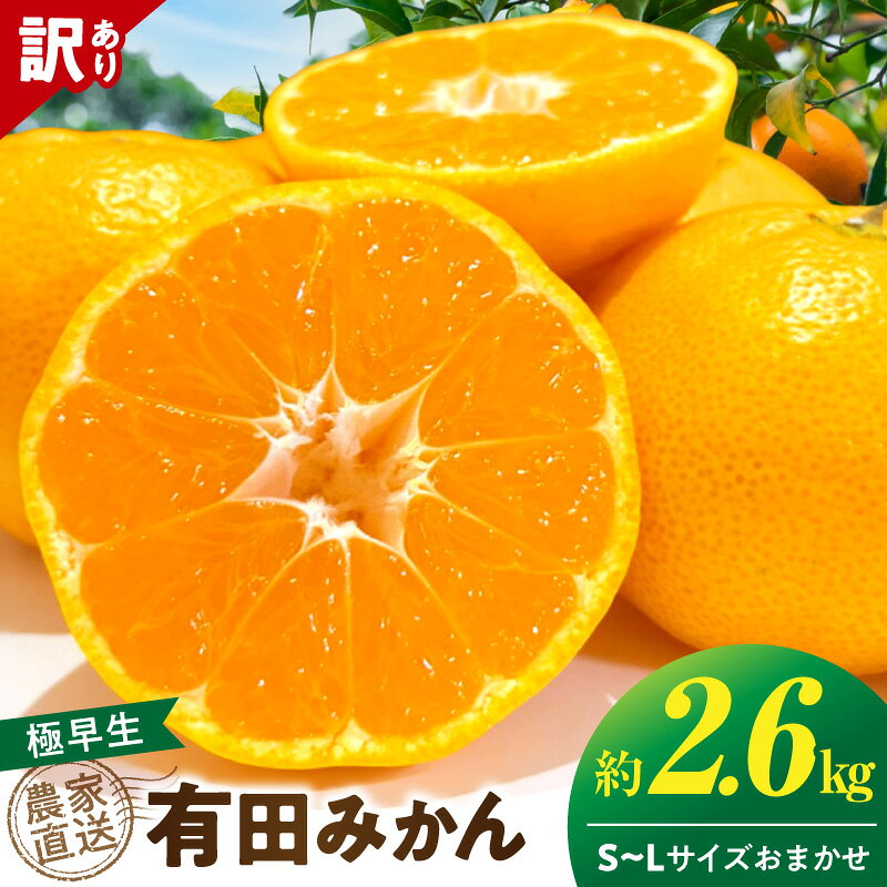 【ふるさと納税】【2026年先行予約】 有田みかん 極早生 約 2.6kg 訳あり 11月発送 完熟 甘み 酸味 バランス みかん 柑橘 フルーツ デザート 果実 むきやすい 農家直送 傷あり お取り寄せ 和歌山県 湯浅町 送料無料