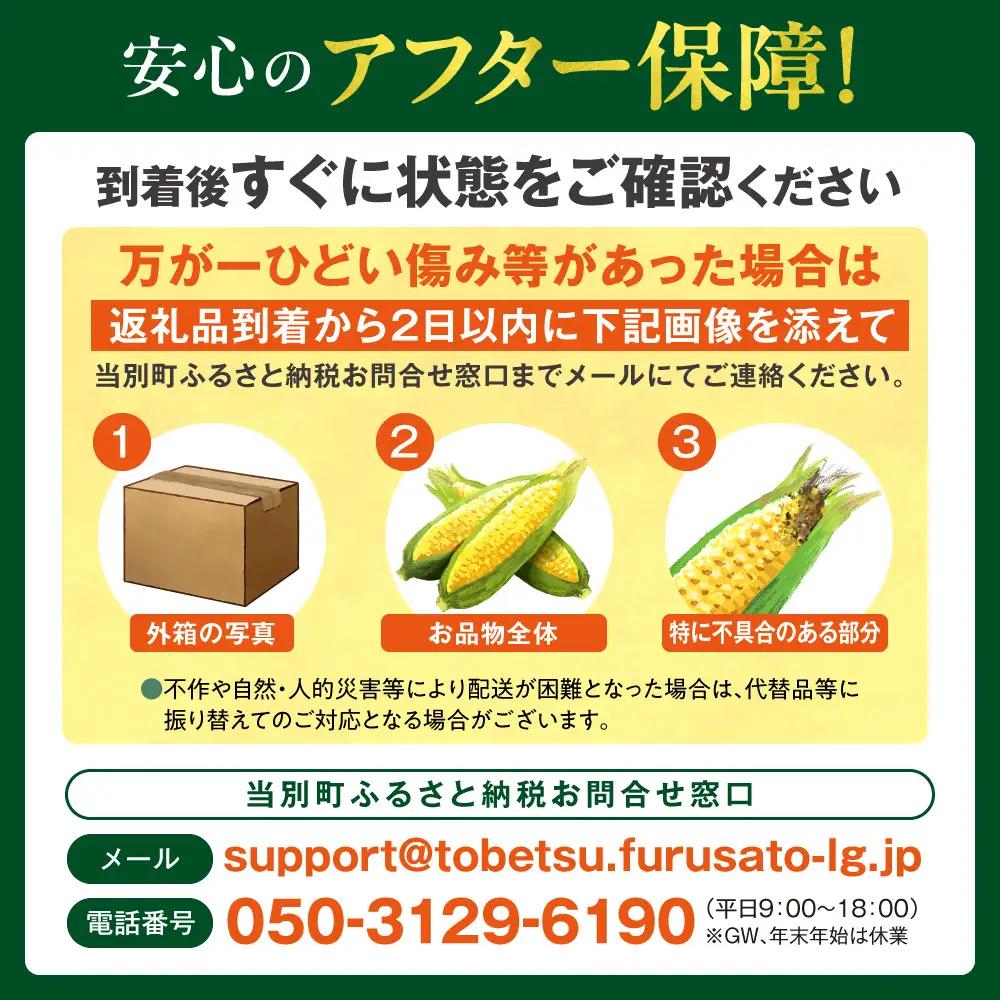 とうもろこし アフター保障付き 20本 北海道 当別町 とうもろこし