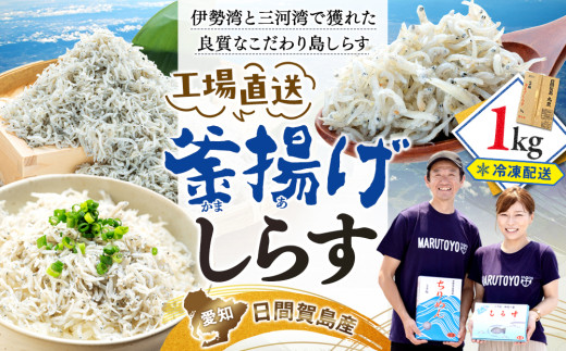 【5月発送】しらす1kg 島の工場から直送 愛知県 日間賀島産 減塩 冷凍 丸豊