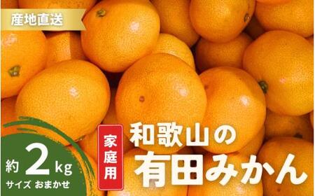 【1月発送】  ご家庭用 有田みかん 和歌山 S～Lサイズ 大きさお任せ 2kg  / みかん フルーツ 果物 くだもの 有田みかん 蜜柑 柑橘【ktn005-1】