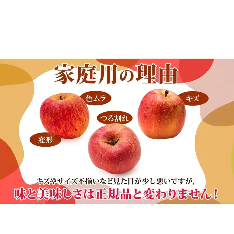 りんご 【12月発送】糖度13度～ 家庭用 サンふじ 王林 約10kg　リンゴ 林檎 青森りんご 糖度 13度 甘い 酸味 デザート フルーツ 果物 お取り寄せ 産地直送 旬 季節限定 弘果物流 青森