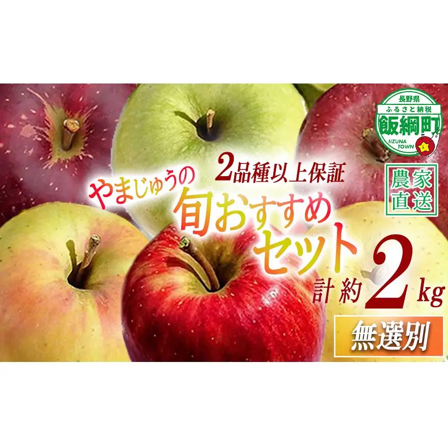 りんご 2品種以上保証 旬のおすすめ 2kg 詰め合わせ セット やまじゅうファーム 沖縄県への配送不可 2026年10月上旬頃から2026年12月下旬頃まで順次発送予定 令和8年度収穫分 信州の環境にやさしい農産物 減農薬栽培 長野県 飯綱町 [1799]
