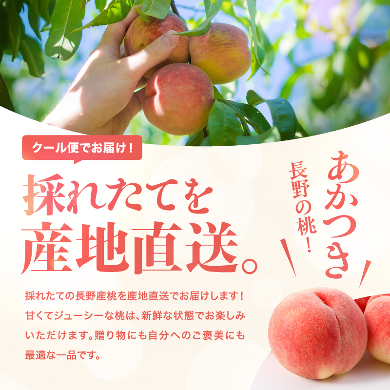 【7月下旬より順次発送】南信州産「桃」あかつき 約2kg 5～9玉 | 果物 くだもの フルーツ 桃 モモ もも あかつき 新鮮 長野県 信州 南信州 飯田市