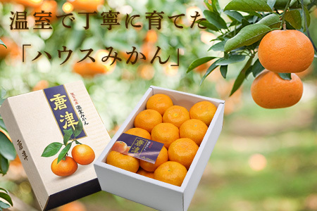 『先行予約』【令和8年7月上旬より順次発送】【全国出荷量1位】佐賀県ハウスみかん 1.8kg 高級甘熟みかん 果物フルーツ 柑橘