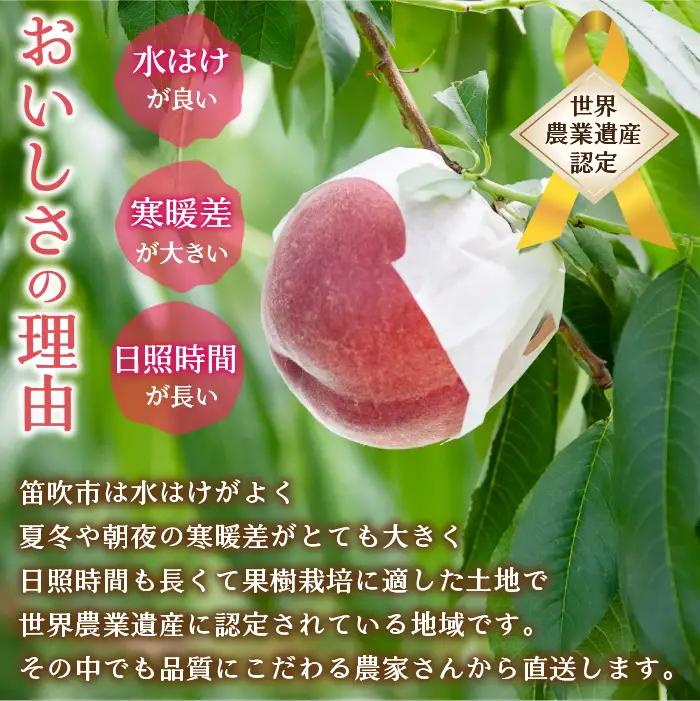 【2026年発送★先行予約】笛吹市産　もも×貴陽食べ比べセット約2.0kg（5～10玉） 205-009-26y