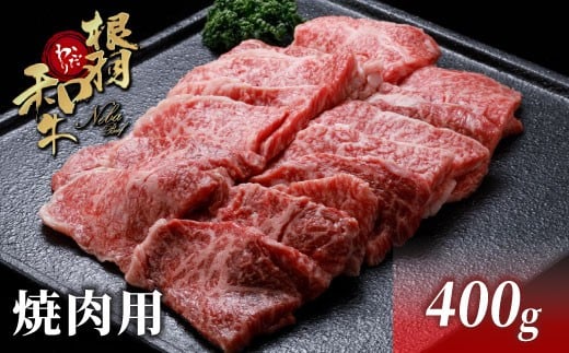 
                  国産黒毛和牛 根羽こだわり和牛 焼肉用 400g バラ肉 モモ肉 盛り合わせ 10000円 和牛 ブランド牛 BBQ 焼肉 黒毛和牛 肉 牛肉 バラエティ焼肉 国産 お肉 バラ モモ 食べ比べ 赤身 霜降り 焼肉セット ブランド牛 長野県 根羽村 極上 特選 絶品 高級 高品質 大人気 冷凍 10000円 10,000円
                