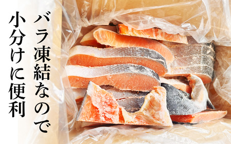 訳あり 銀鮭 2kg 切り身