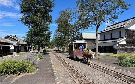 歴史と文化の北海道3館共通券 一般1名様分と北海道地域限定旅行クーポン15,000円分（Eメール発行） 人気 おすすめ 利用券 チケット F6S-521