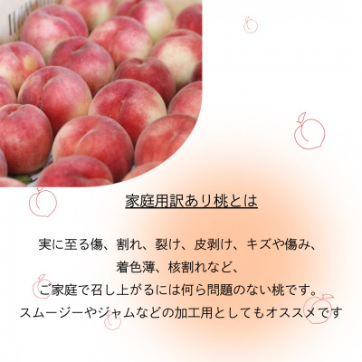 【2026年先行受付】訳あり桃!3kg前後 ご家庭用 加工用に!【配送不可地域：離島】【1647628】
