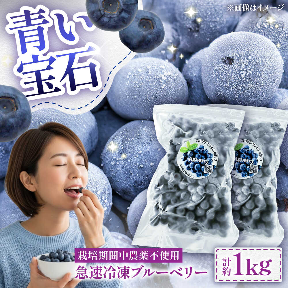 【ふるさと納税】青い宝石 国産 急速冷凍ブルーベリー 計約1kg（約500g×2袋） 果物 くだもの フルーツ ぶるーべりー 熊本県 菊陽町【アグファーム株式会社】[BHCX005]