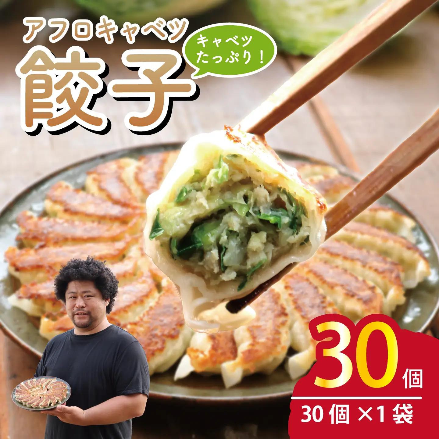 餃子 きゃべつ餃子 30個