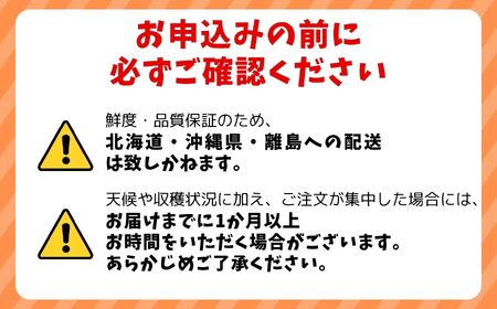 訳あり 肉厚国産 生しいたけ 500g | しいたけ 株式会社レインボー