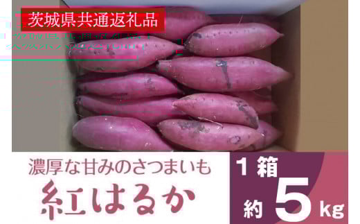 濃厚な甘みさつまいも 紅はるか5kg（茨城県共通返礼品・行方市産）芋イモ スイーツ(AK201)