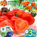 【ふるさと納税】 ミニトマト トマトベリー 約 900g ・ 1.8kg ・ 3kg 生産量 日本一 玉名市 希少 プチトマト
