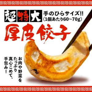ギョーザ  24個 麺百式 ドデカい ギョーザ