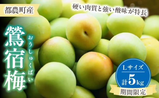 先行予約≪期間限定≫都農町産「鶯宿梅(Lサイズ)」計5kg 梅 梅干し 果物 国産_T008-014