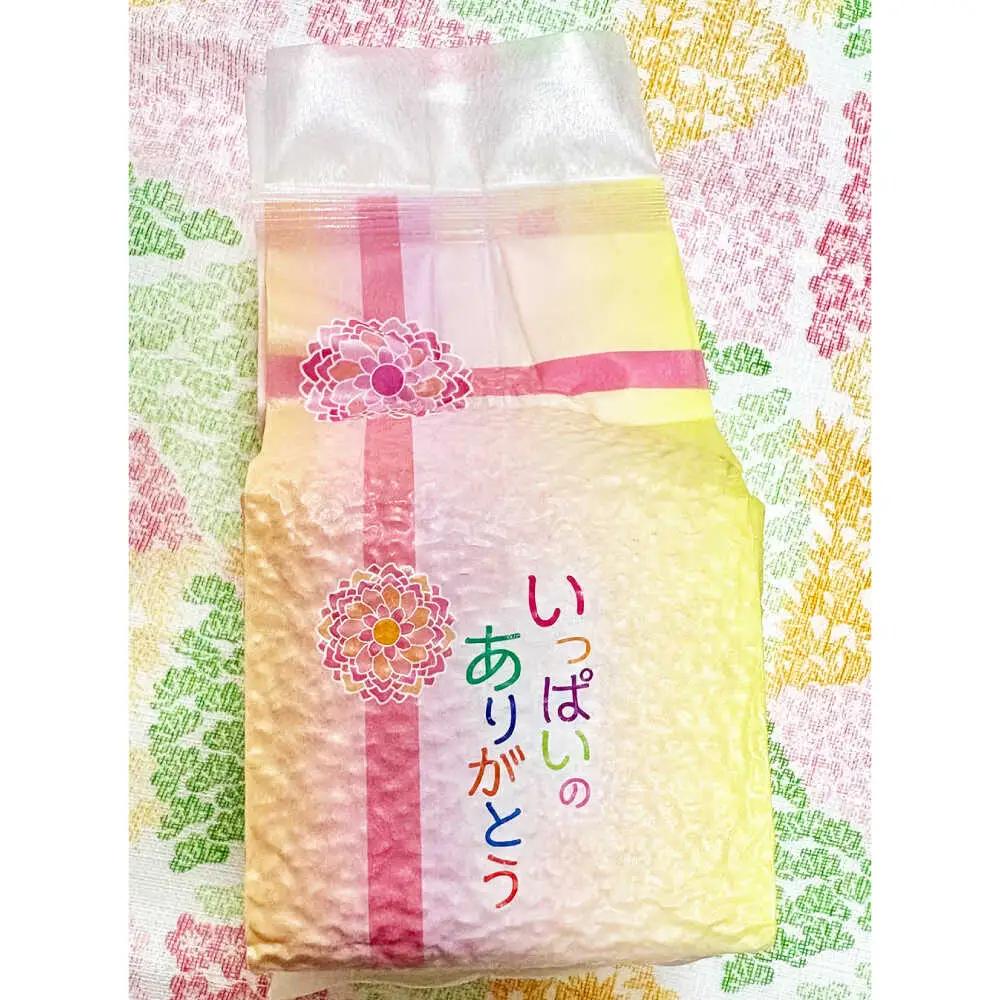 うるち米 900g（300g×3） 大阪府高槻市/高槻ナチュラルファーム[AOEY001]