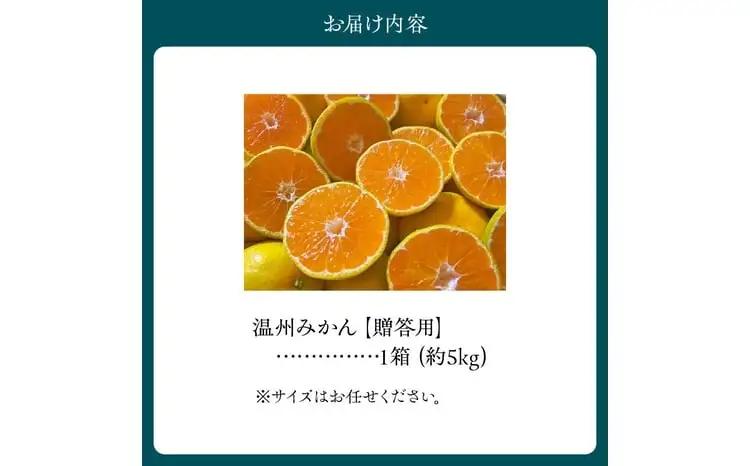 進栄【贈答用】温州みかん約5kg_U68-0131