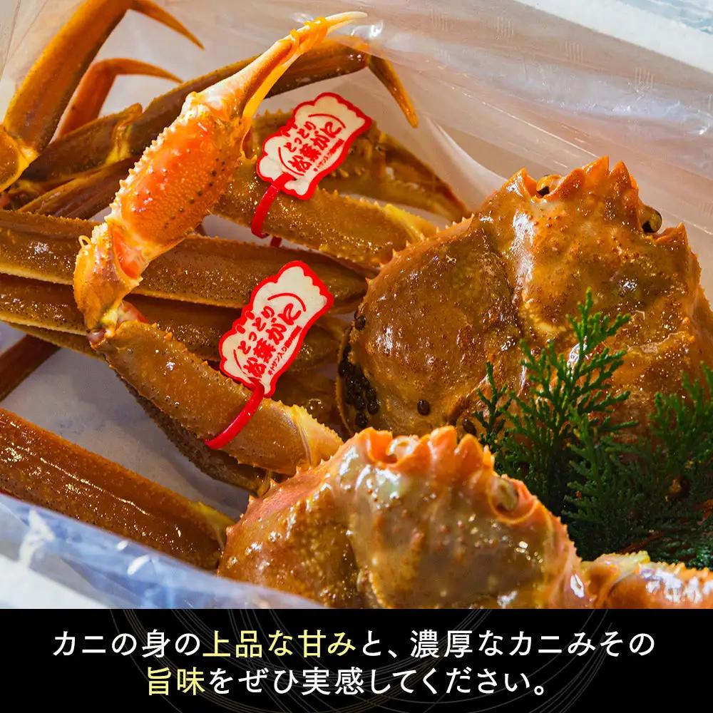 鳥取県産　タグ付きボイル松葉ガニと活松葉ガニの欲張りフルコース中2枚セット　(700g前後)  | カニ 松葉ガニ 活 ボイル 美味しさに 訳あり 大容量 　※2026年11月上旬～2027年3月下旬