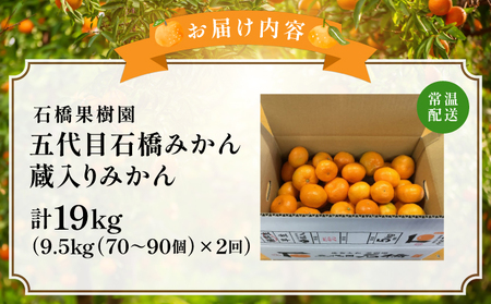 五代目・蔵入りみかん9.5kg×2回／ふるさと納税 佐賀 みかん オレンジ フルーツ濃厚 甘い 酸味 大町 贈答 ギフト 贈り物 42ik-006