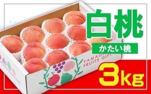 ☆フルーツ王国山形☆白桃 秀品 3kg [かたい桃] 【令和7年産先行予約】FS23-824 くだもの 果物 フルーツ 山形 山形県 山形市 2025年産