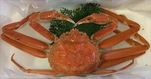 足１本なしボイル松葉ガニ訳あり（特大９５０ｇ）【魚倉】[181-2]