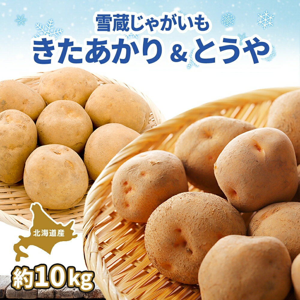 【ふるさと納税】北海道 雪蔵 きたあかり とうや 約10kg 2025年2月中旬より順次お届け じゃがいも ジャガイモ 馬鈴薯 キタアカリ 北あかり 芋 いも 雪蔵貯蔵 野菜 農作物 北海道産 丸田農園 送料無料　お届け：2026年2月中旬より順次出荷