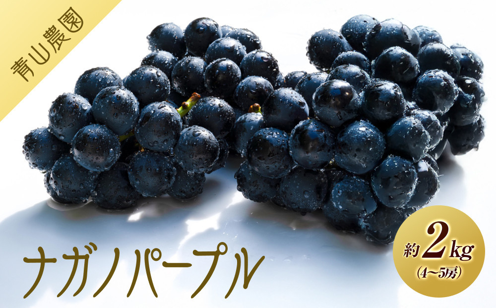 【先行予約】【数量限定】ナガノパープル 約2kg 〔2025年8月下旬より順次発送〕 232238_CU003