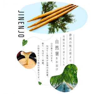 自然薯 1.2kg  個包装 たくみファーム 静岡県 牧之原市 自然薯