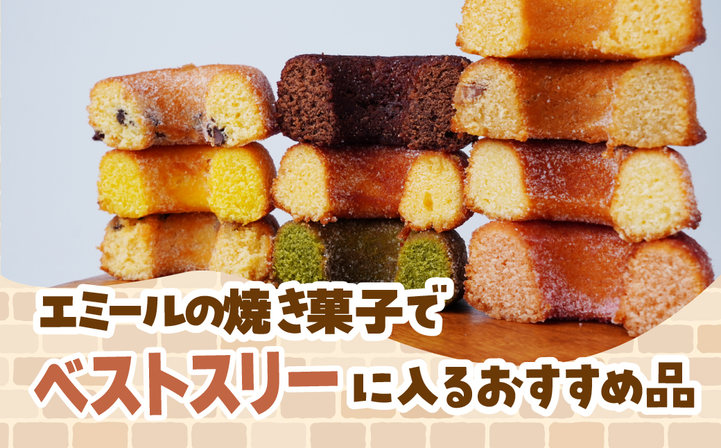 焼きドーナツ 10種10個セット エミール | ドーナツ 洋菓子 お菓子 おやつ ギフト 贈答 贈り物 プレゼント 個包装 小分け スイーツ emile プレーン ショコラオレンジ メイプル 抹茶 チ