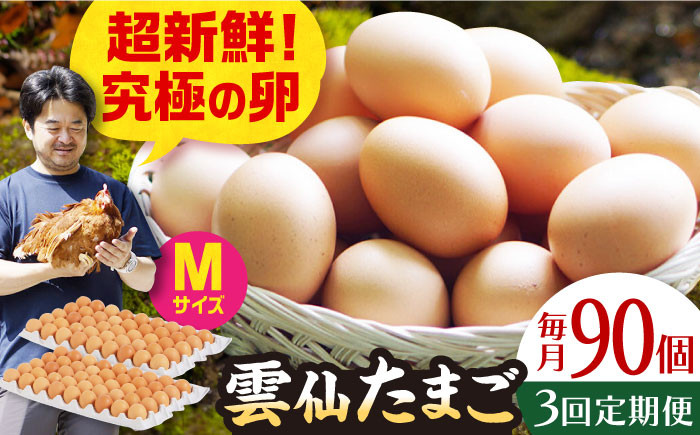 
【全3回定期便】雲仙たまご Mサイズ90個(85個＋割れ補償5個入り) 長崎県/塚ちゃん雲仙たまご村 [42ACAE020] 卵 玉子 タマゴ 鶏卵 長崎 島原 九州
