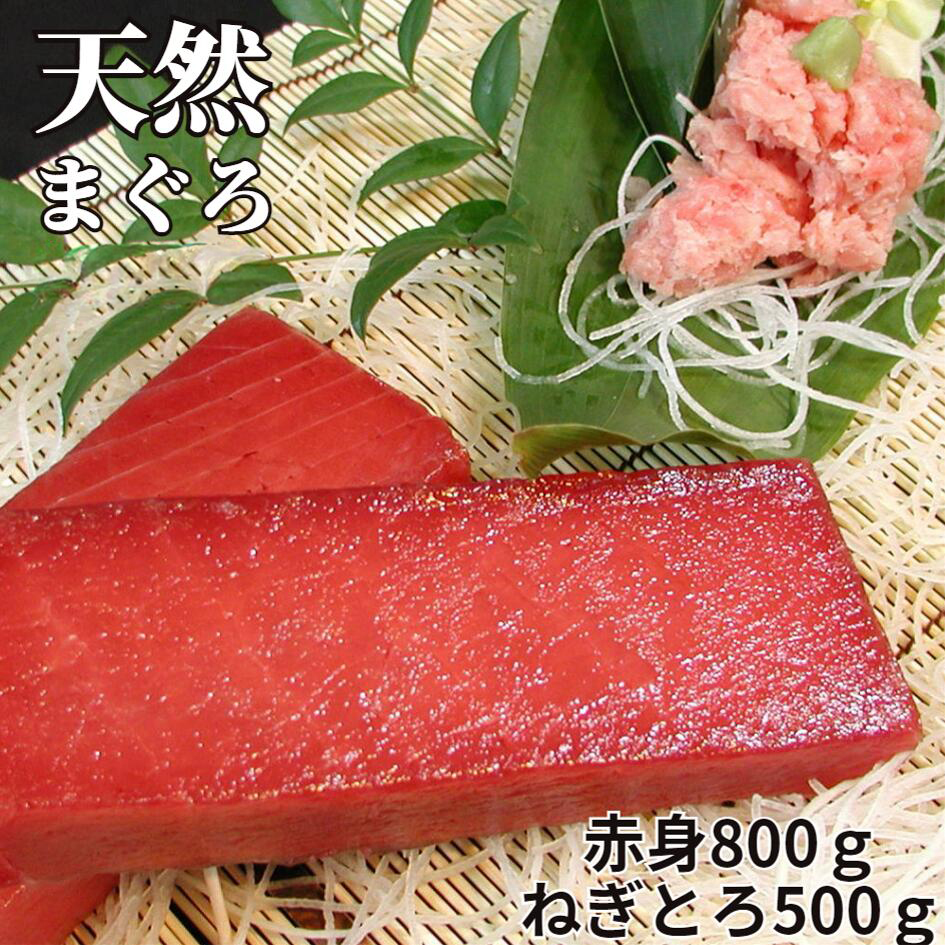 三崎の天然まぐろ赤身 800g・ねぎとろ 100g×5パック（500g）セット　M024-002