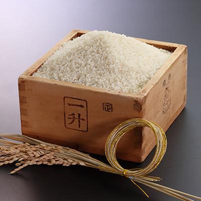 ふるさと納税 大潟村 令和8年産　特別栽培米あきたこまち5kg(白米) |  | 01