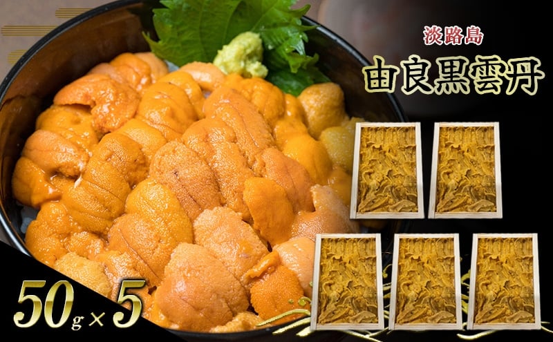 
                  淡路島　由良黒雲丹　5枚 兵庫県 洲本市 淡路島[№5395-0517]
                