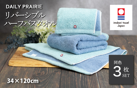 （今治タオルブランド認定）DAILY PRAIRIE リバーシブルハーフバスタオル 3枚セット （ミント／ブルー） [I002950ST3MT/B] 