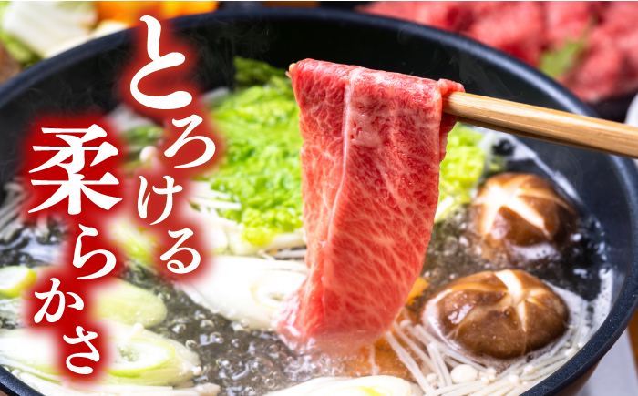 【厳選部位】 【A4～A5】 長崎和牛 サーロイン しゃぶしゃぶ すき焼き 用 約600g（300g×2p）＜株式会社MEAT PLUS＞ [CFT010]