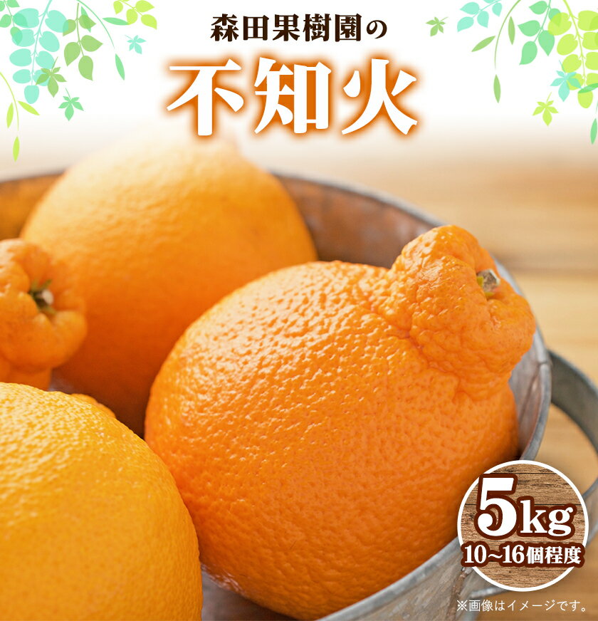 【ふるさと納税】【先行予約】森田果樹園の不知火 5kg 10〜16個程度　《2月中旬-4月下旬頃出荷》森田果樹園 果物 フルーツ 柑橘 熊本