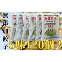 【ふるさと納税】安心安全の無添加冷凍ぎょうざ！6種（キャベツ・唐辛子・ニンニク・野菜・レタス・生姜）合計120個！　【 加工食品 惣菜 冷凍惣菜 おかず 中華 国産豚肉 国産野菜 無添加 鍋料理 】