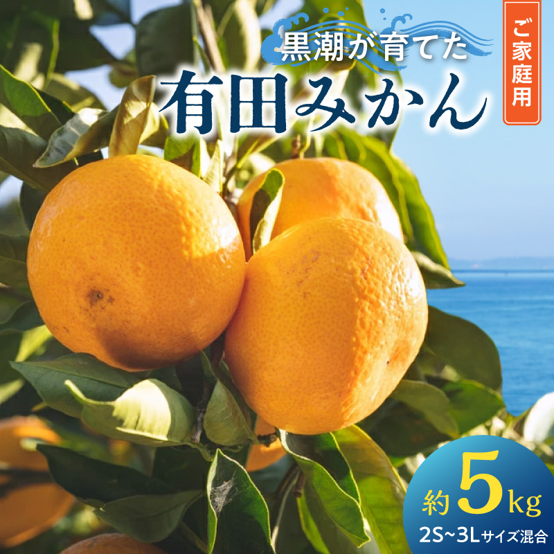 黒潮が育てた 有田みかん 約5kg ご家庭用(2S～3Lサイズ混合）_AE6109