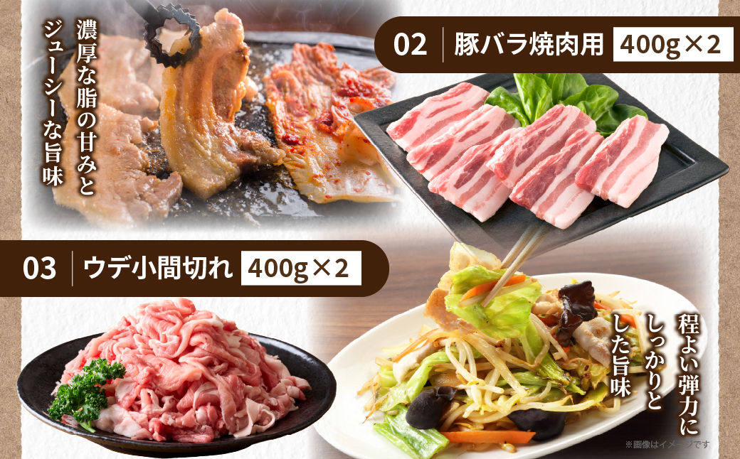 綾豚ファミリーセット_A0023-005