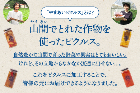 やまあいピクルス 定番洋風2本＋季節1本(おまかせ)｜ピクルス ピクルス ピクルス 野菜 健康 洋風 詰め合わせ セット YP-3