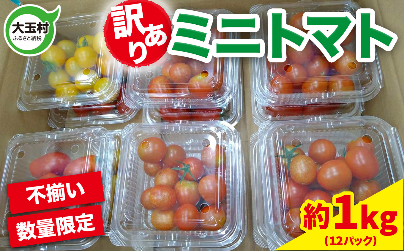 
                  訳あり 野菜 ミニトマト 約 1kg もったいない野菜 数量限定
                
