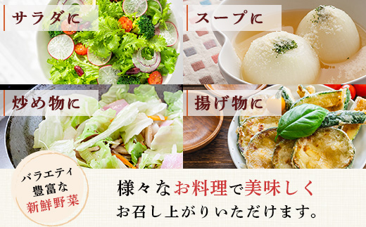 【定期便 6回】野菜ソムリエ 監修 旬の おすすめ 野菜 セット ４〜5品 (1〜2名様向け) 6回配送 数量限定 新鮮 野菜 セット 詰め合わせ 詰合せ 定期便 産地 直送 国産 季節の野菜 ひとり