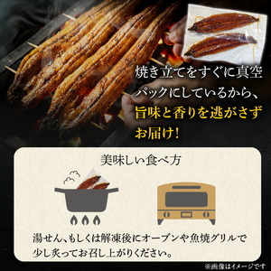 国産うなぎの蒲焼き 大サイズ×2尾 T08106