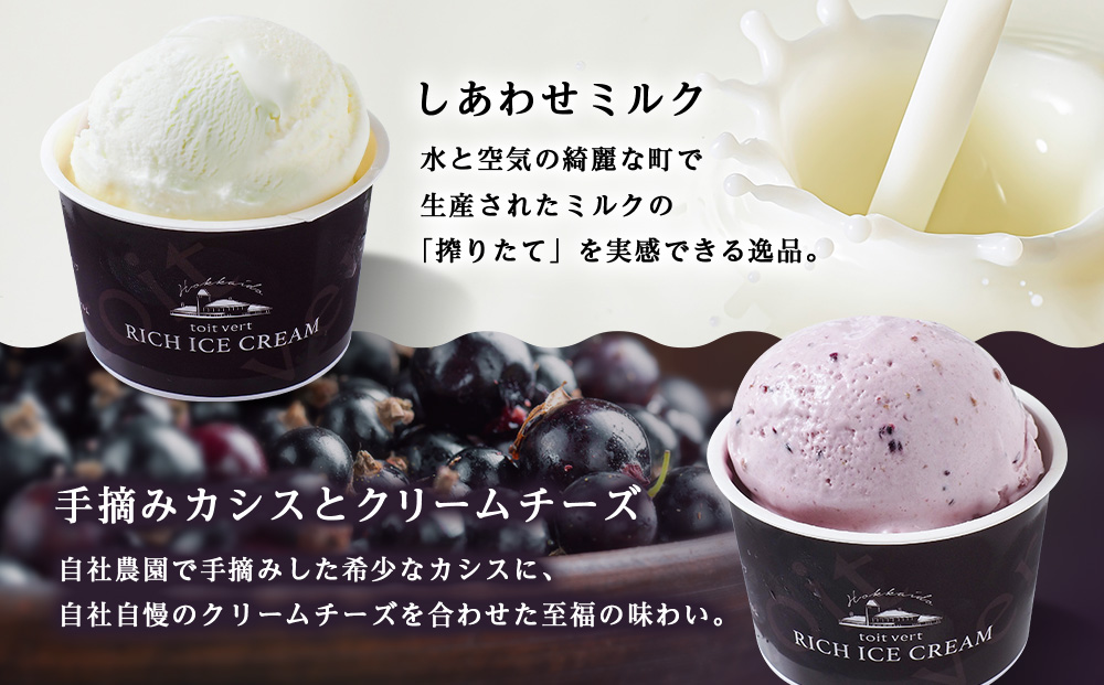 リッチアイスクリーム 8個セット（100ml）【 4種 × 各2個】アイス スイーツ おやつ 冷凍 食べ比べ