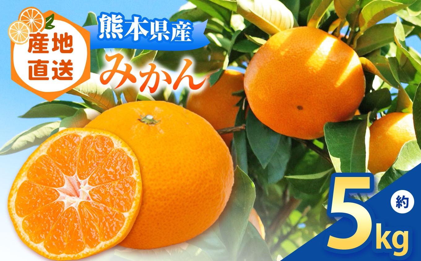 
            【 先行予約 】 熊本県和水町産 みかん 約 5kg | 熊本県 熊本 くまもと 和水町 なごみまち なごみ みかん ミカン 蜜柑 柑橘 柑橘類 温州 果物 フルーツ 小玉
          