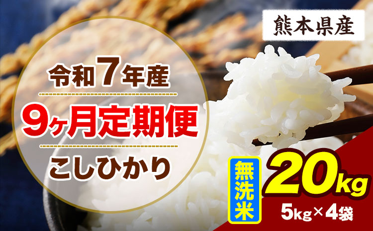 【9ヶ月定期便】令和7年産 定期便 こしひかり 20kg  無洗米 阿蘇 うぶやま 米 定期便 熊本県産 ふるさと納税 精米 ひの 米 こめ ふるさとのうぜい コシヒカリ コメ お米 おこめ《申込月の翌月から出荷開始》